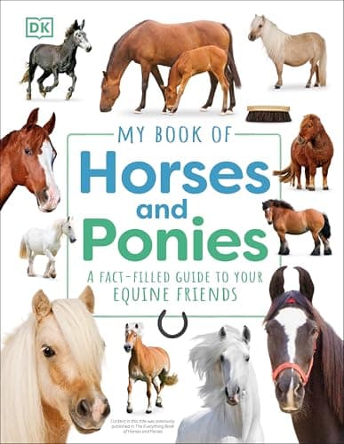 Best Books about Horse #2 from My Book of Horses and Ponies: A Fact-Filled Guide to Your Equine Friends