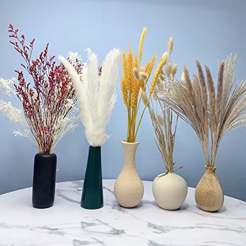 Best Pampas grasses #6 from Kjiaiyuo 81 Pcs Dried Pampas Grasses Boho Pampas Grass Decor Dried Flowers Bouquet Pampas Grass Branches Palm Leaves Party Decorations for Wedding Home ( Pampas Grass)