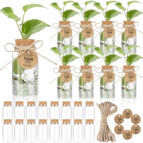 Best Propagation Glass Vases #8 from Ysglory Ysglory 24 Pack 3.54'' Plant Propagation Stations 4oz Plastic Propagation Jars Planter Hydroponic Vase with Hole Lid and Thank You Tags for Plant Lovers Office Home Garden
